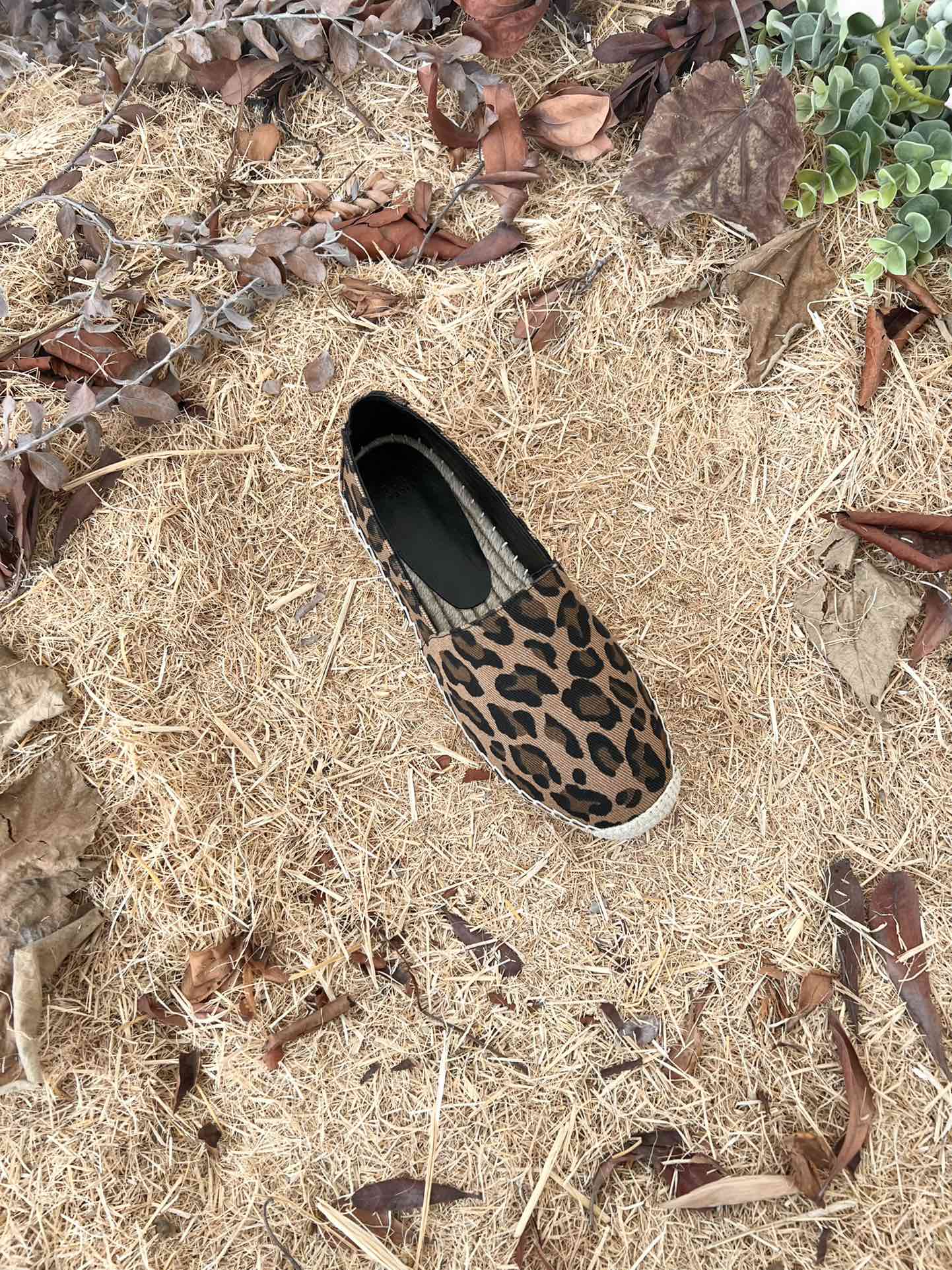 Sa1nt Lau*nt Women’s Y51 Embroidered Espadrilles Brown For Women Y51